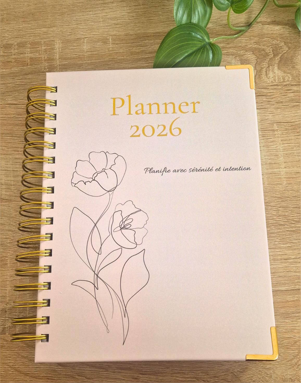 Planner 2026 My Diaries – agenda féminin élégant et inspirant pour planifier et s’organiser en 2026. Format A5+, couverture rigide, reliure spirale dorée et pages dédiées à l’introspection, aux objectifs mensuels, hebdomadaires et à la gratitude.