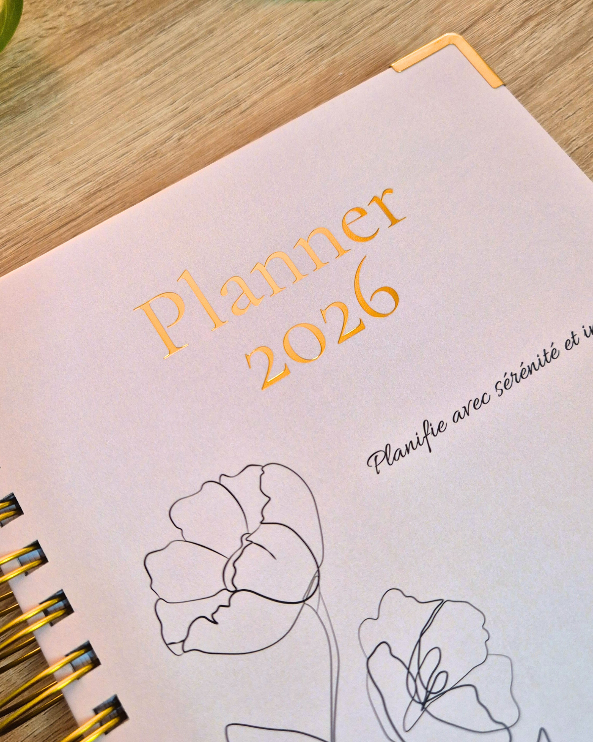 Planner 2026 My Diaries