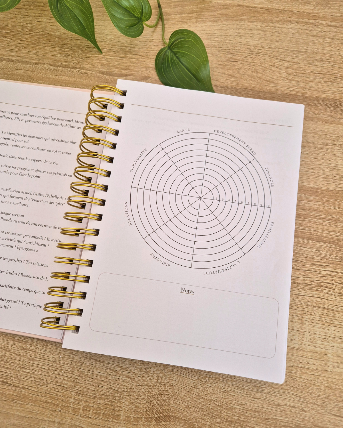 Page roue de la vie du planner 2026 My Diaries ouverte sur un bureau en bois