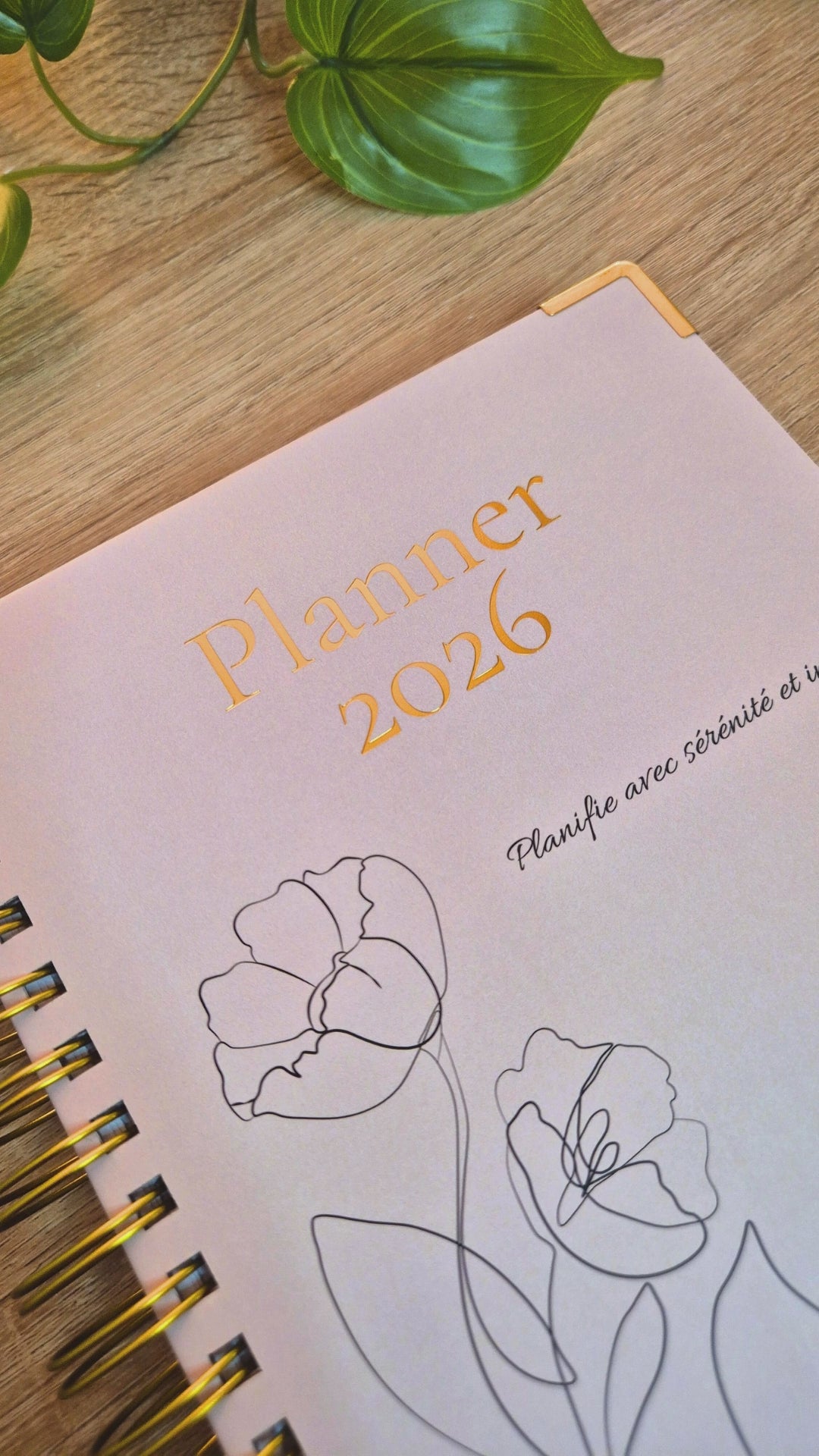 Charger la vidéo : 